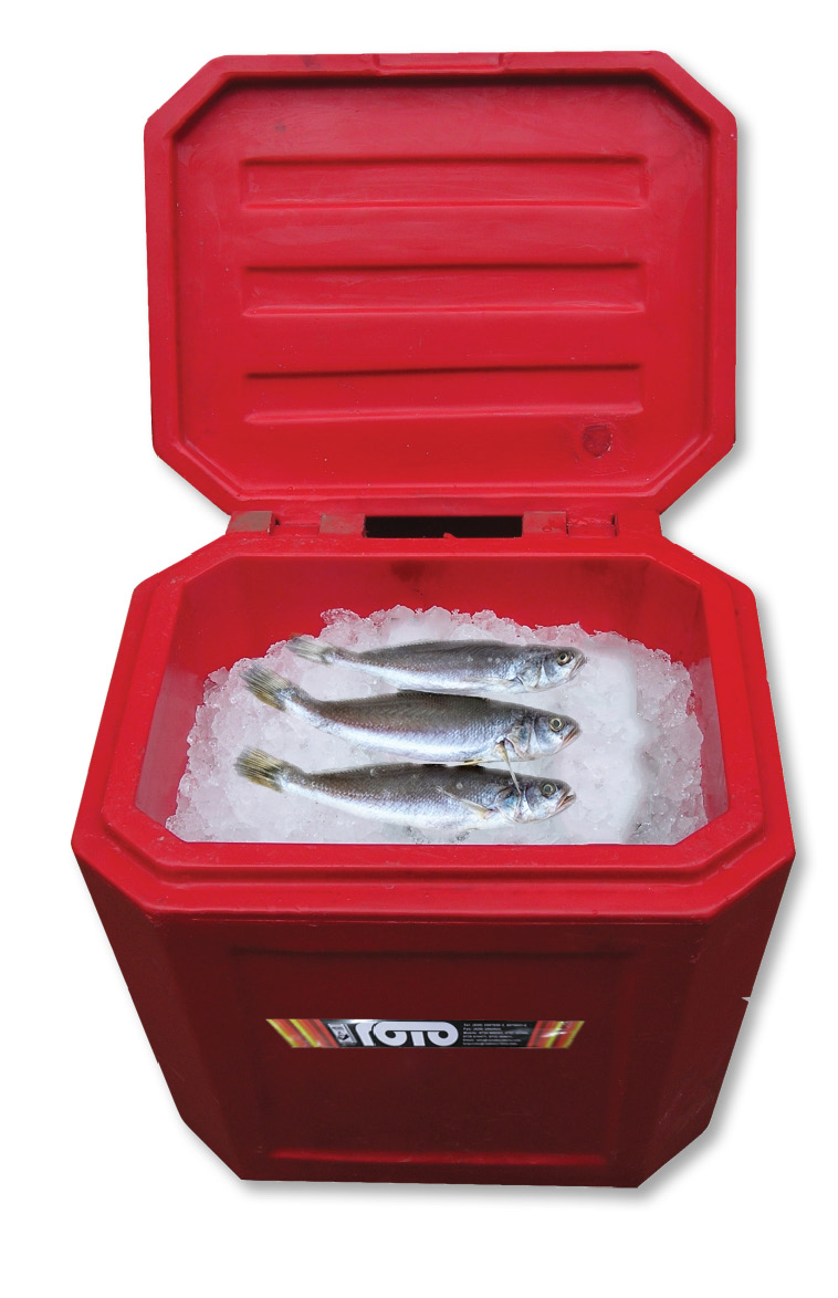 Cooler box with fish Cooler Boxes RCB190 - Image 1